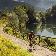 Ciclista pedalea por una de las vías verdes España, junto a un lago sereno y rodeado de exuberante vegetación.