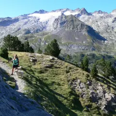 Senderista con dos perros blancos en la ruta de la Maladeta, con imponentes montañas nevadas de fondo.