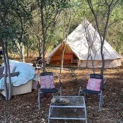 Acampar en Málaga: tienda tipo bell, sofá cubierto, sillas con cojines y mesa baja en un entorno boscoso.