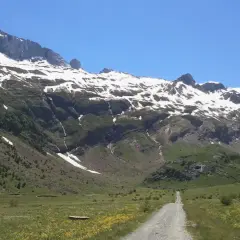 Camino de grava serpentea por el verde valle de Otal, flanqueado por imponentes montañas nevadas bajo un cielo azul claro.