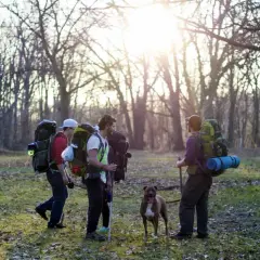 Tres peregrinos con mochilas y un perro inician su camino de Santiago.