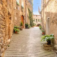 Calle empedrada en Figuerola d'Orcau, con muros de piedra y macetas con plantas.