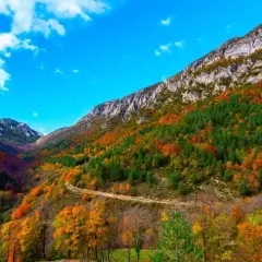 Un camino serpentea por un valle montañoso en otoño, con árboles de colores vibrantes que cubren las laderas. El cielo azul intenso y las nubes blancas completan la escena del **Cadí Moixero**.