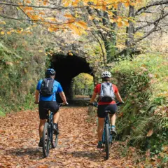 Ciclistas pedalean por la senda del oso, cubierta de hojas otoñales, hacia un túnel de piedra.