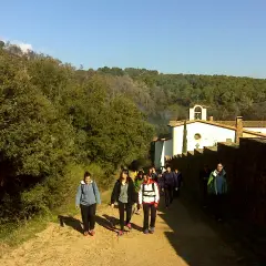 Un grupo de excursionistas camina por un sendero rural hacia una ermita blanca con un campanario. El paisaje es verde y montañoso, con árboles y vegetación. El sol brilla en un cielo azul claro. La ruta parece ser un camino de peregrinación, quizás hac...