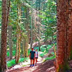 Pareja paseando por el **bosc del gerdar**, un sendero rodeado de altos árboles y vegetación frondosa.