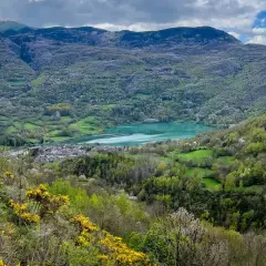 Vista panorámica del **Valle de Benasque** con un lago turquesa, un pueblo y montañas cubiertas de vegetación. Flores amarillas en primer plano.