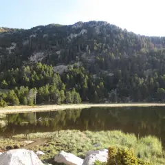 Paisaje sereno con un lago reflejando la montaña boscosa. El refugi de Malniu se esconde entre los árboles, invitando a la aventura.