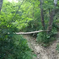 Puente de madera sobre un arroyo seco en un bosque frondoso de las Gavarres.