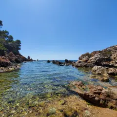 Aguas cristalinas y rocas rojizas en una cala idílica, un tesoro entre las mejores calas de la Costa Brava.