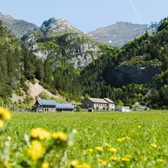 Prado florido con el Vignemale desde Bujaruelo al fondo. Casas rurales y montañas verdes bajo un cielo azul.