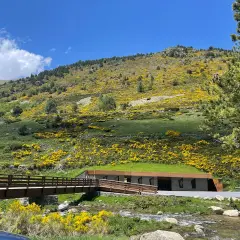 Un puente de madera cruza un arroyo en el **Vall d'Incles**, con una colina cubierta de flores amarillas y un edificio de techo verde al fondo.