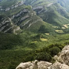 Vistas impresionantes de la Alta Garrotxa, con montañas cubiertas de bosques frondosos y formaciones rocosas que se asoman entre la vegetación.