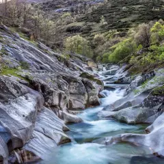 El **camino del agua** serpentea entre rocas erosionadas y vegetación verde, creando un paisaje natural sereno.