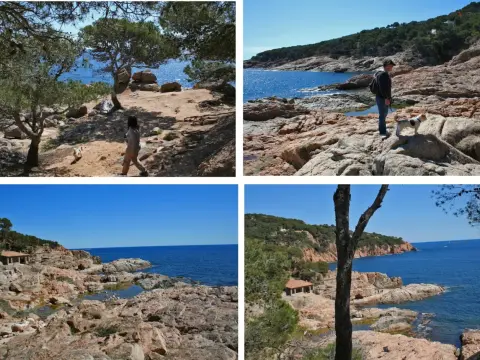 Camí de Ronda Tamariu - Guía para no perderte nada