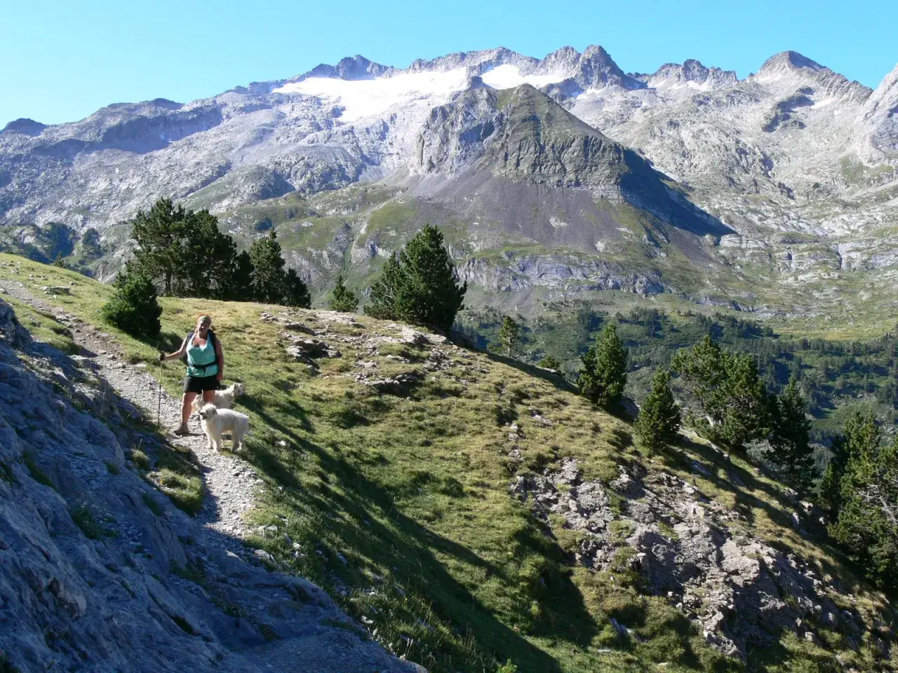 Senderista con dos perros blancos en la ruta de la Maladeta, con imponentes montañas nevadas de fondo.