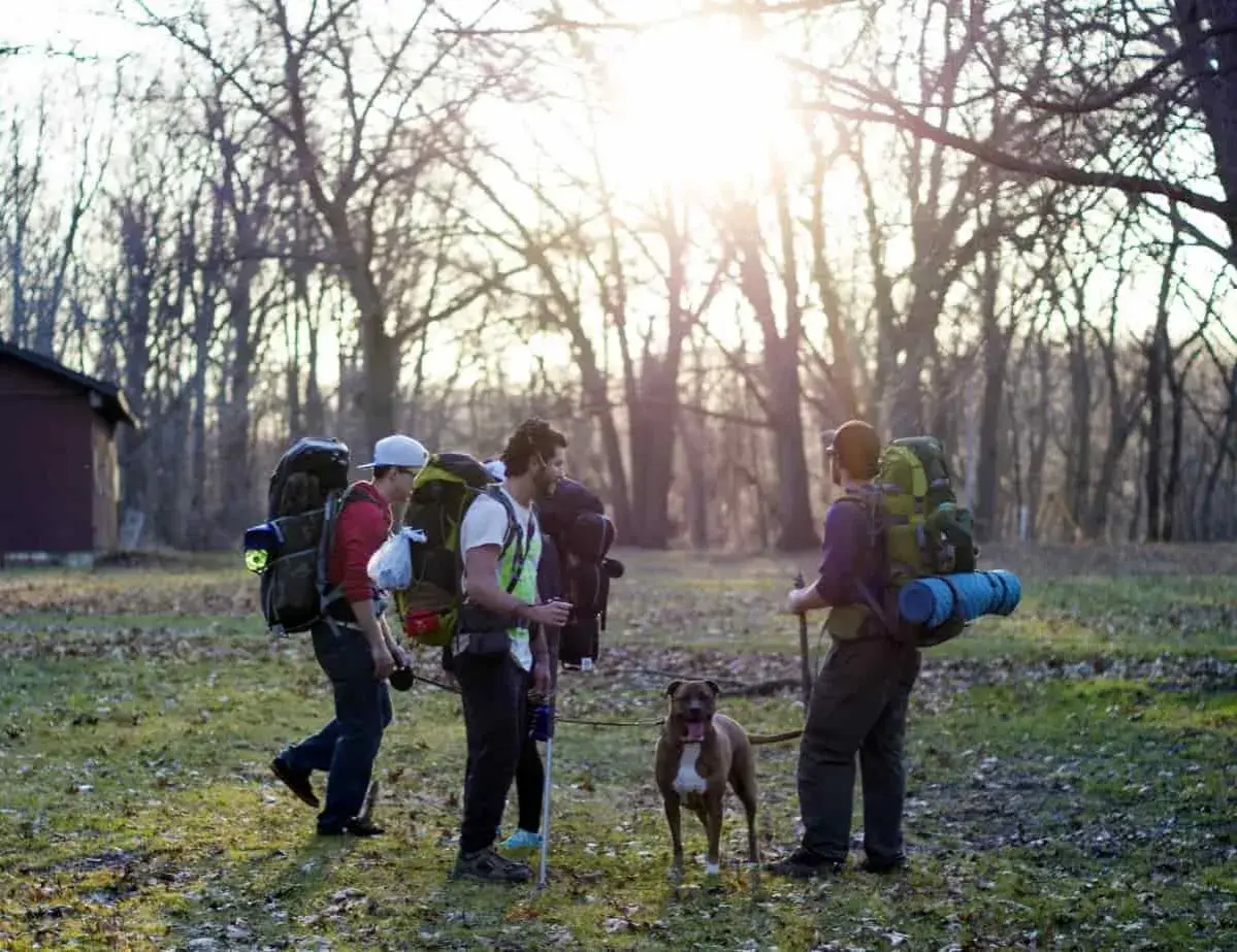 Tres peregrinos con mochilas y un perro inician su camino de Santiago.