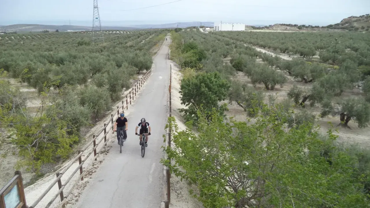 Ciclistas disfrutan de la vía verde del aceite, rodeados de olivares bajo un cielo nublado.