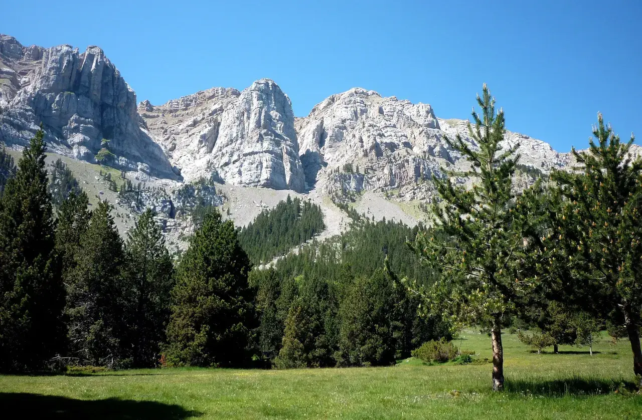Prat de Cadi, un prado verde con pinos y majestuosas montañas rocosas de fondo bajo un cielo azul claro.