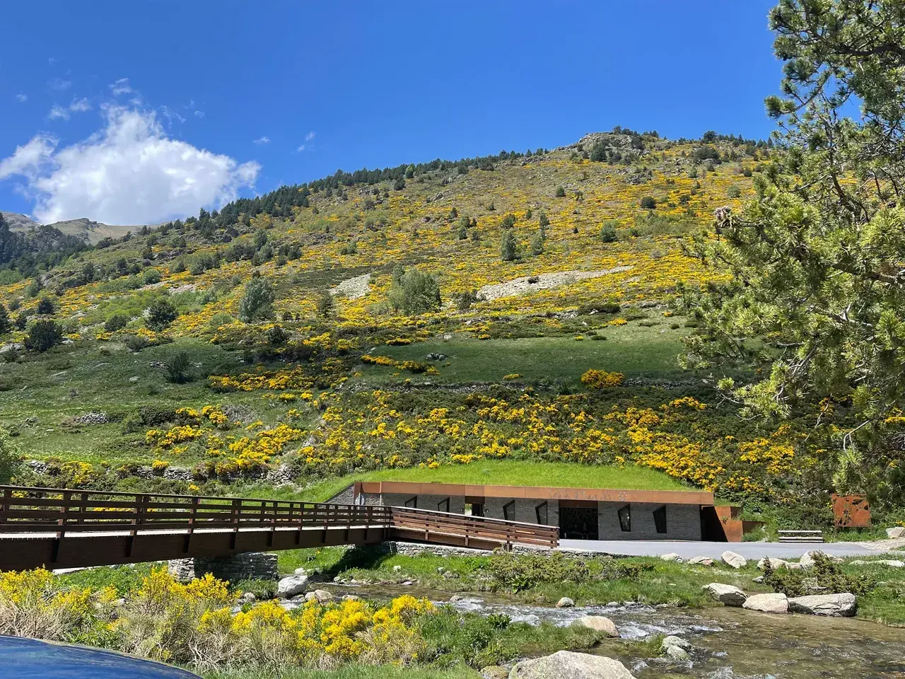 Un puente de madera cruza un arroyo en el **Vall d'Incles**, con una colina cubierta de flores amarillas y un edificio de techo verde al fondo.