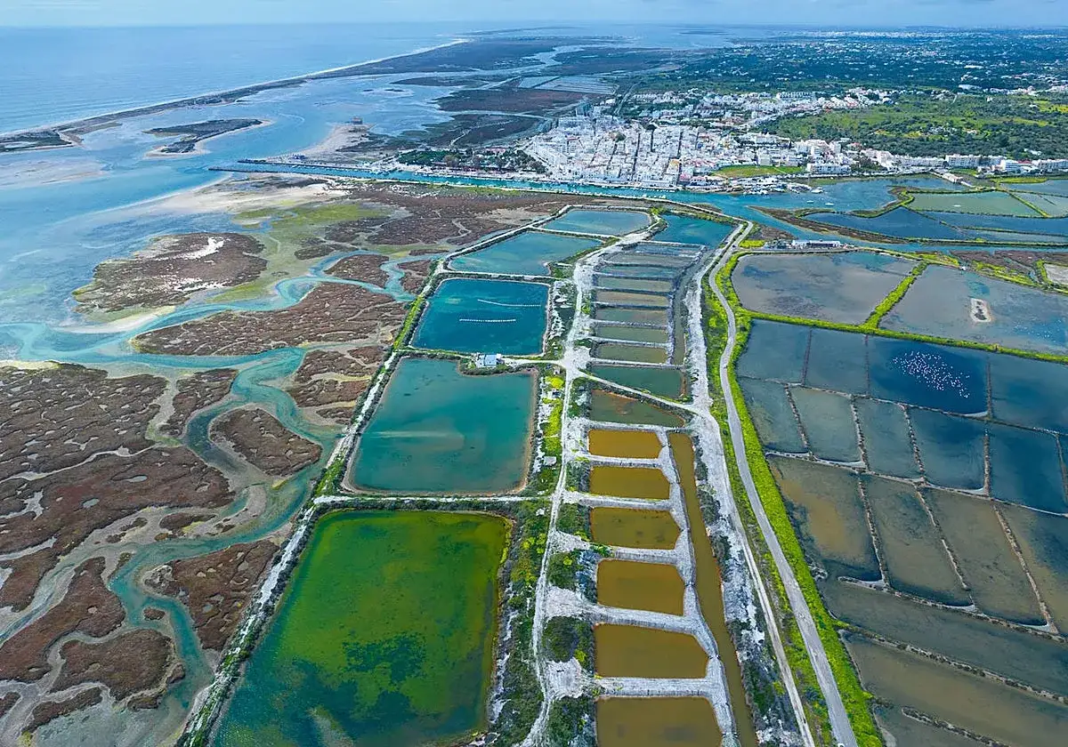 Vista aérea de salinas y marismas en la Ría Formosa, con aguas turquesas y marrones, y una ciudad blanca al fondo.