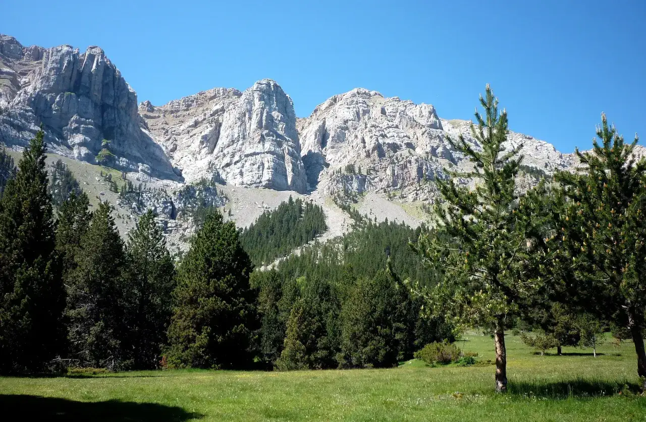 Prat de Cadi, un prado verde con pinos y montañas rocosas al fondo bajo un cielo azul.