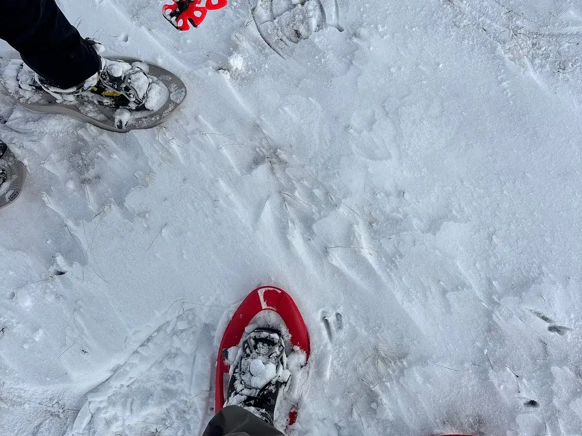 Botas con raquetas de nieve listas para disfrutar de las actividades de invierno en los Pirineos.