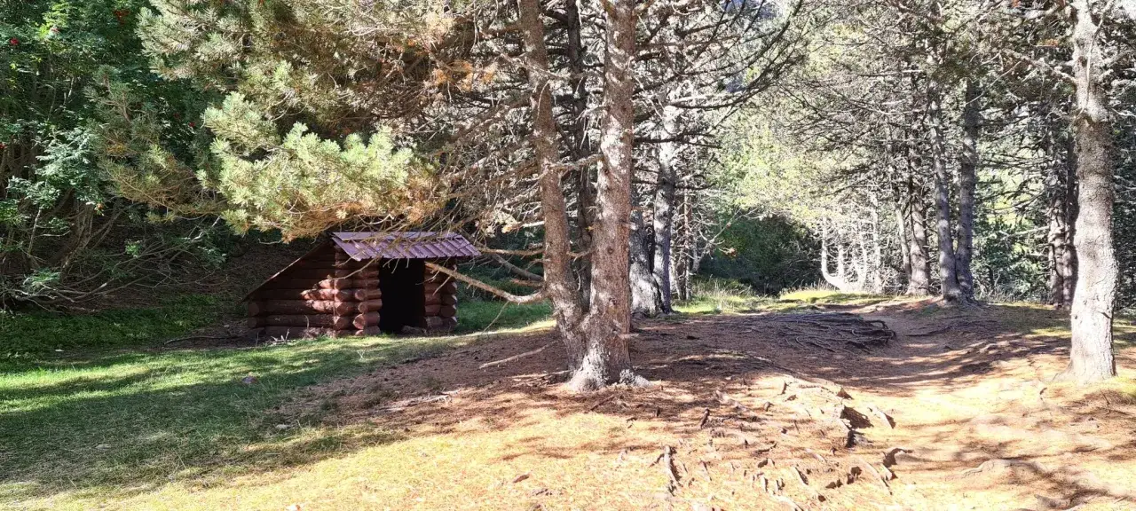 Pequeño refugio de troncos en un bosque soleado, con un camino de tierra y raíces expuestas. Un lugar perfecto para un refugio con ángeles.