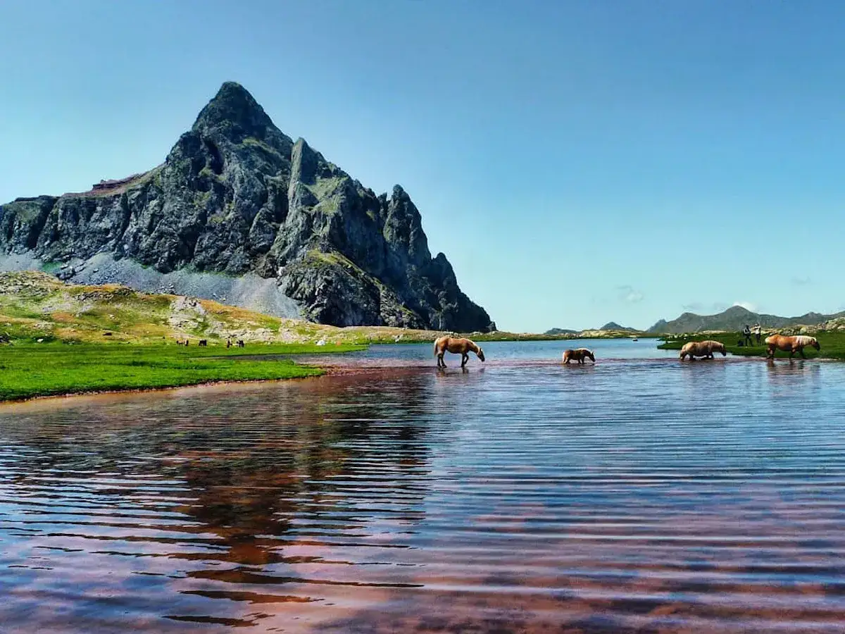 Caballos pastando en un lago sereno del valle de Benasque, con una imponente montaña rocosa de fondo bajo un cielo azul claro.