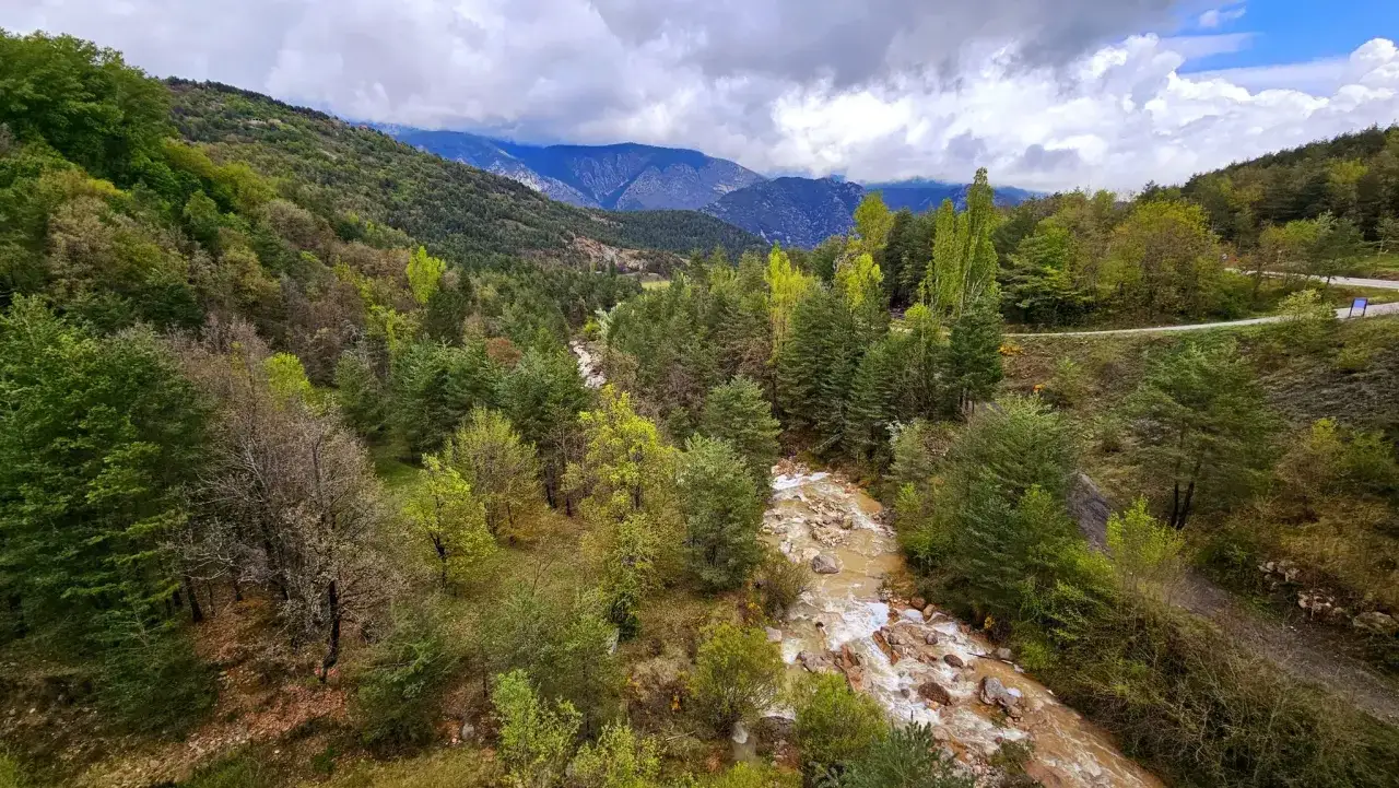 Un río turbulento serpentea por un valle boscoso en la josa del Cadí. Montañas majestuosas se alzan al fondo bajo un cielo nublado.