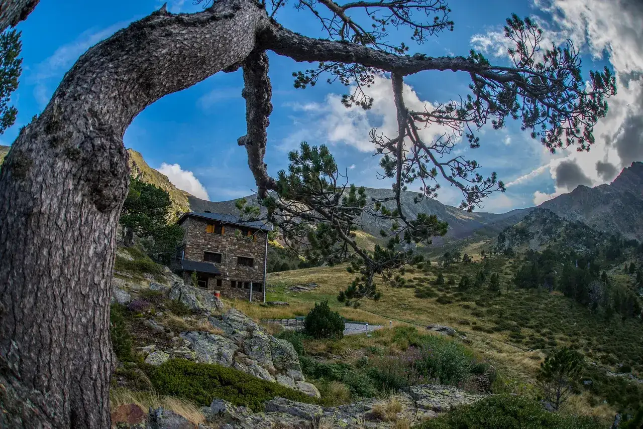 Edificio de piedra en el parque natural Comapedrosa, rodeado de montañas y vegetación. Un árbol retorcido domina la vista.
