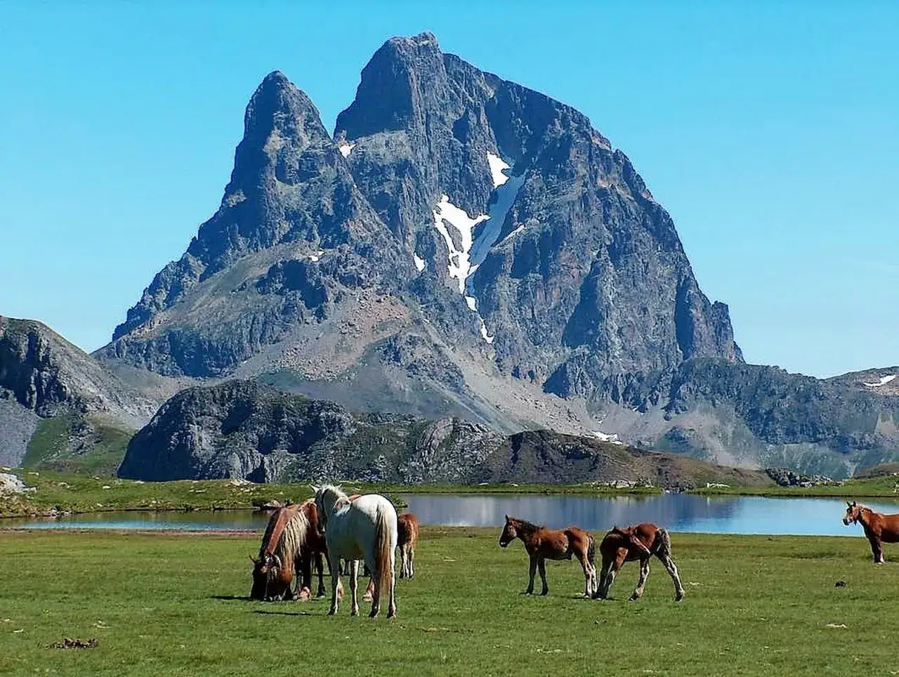 Caballos pastando en un prado verde con el imponente Midi d'Ossau al fondo y un lago sereno.